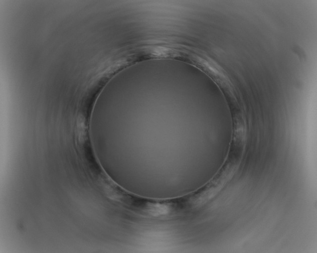 X0000114100469200910191646