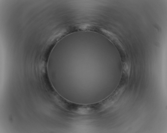 X0000114100470200910191646