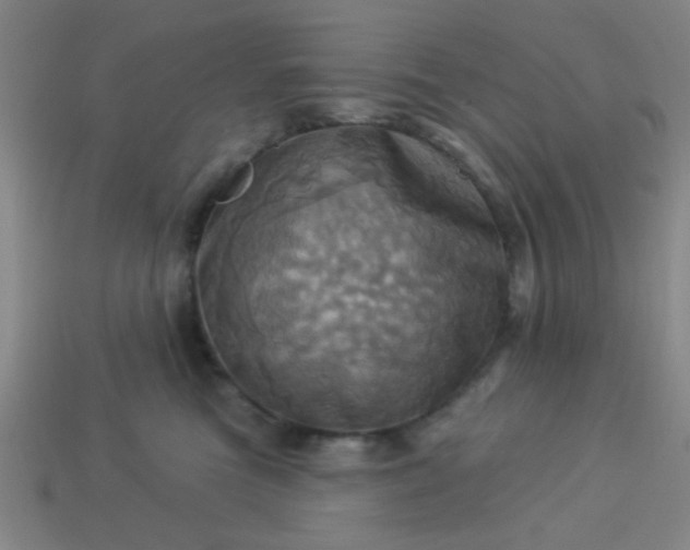 X0000114100473200910191646