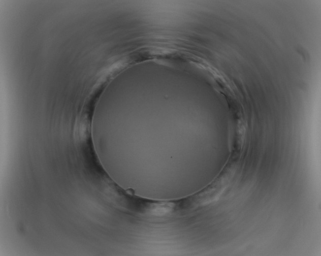 X0000114100474200910191646