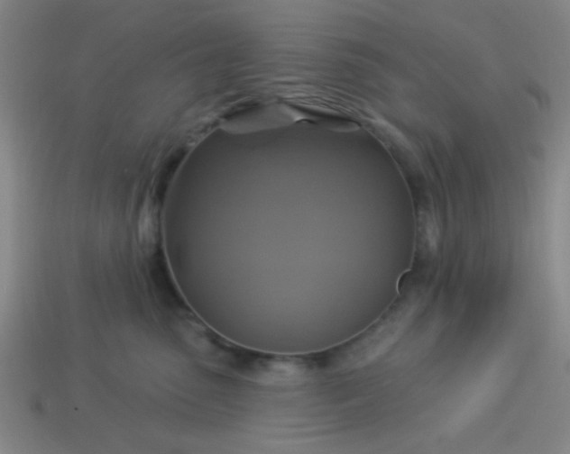 X0000114100475200910191646