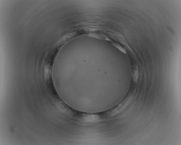 X0000114100476200910191646