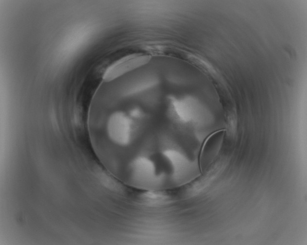 X0000114100477200910191646