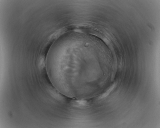 X0000114100478200910191646