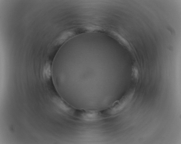 X0000114100479200910191646