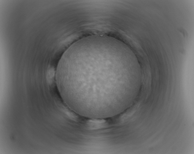 X0000114100480200910191646