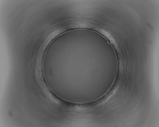 X0000114100481200910191645