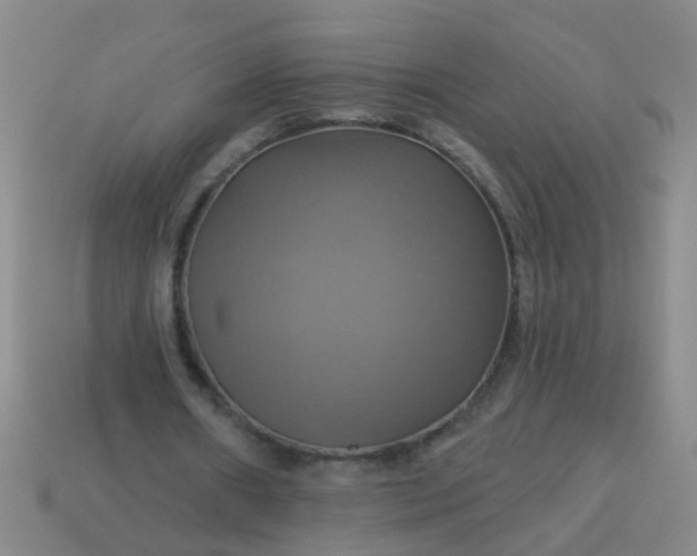 X0000114100482200910191645