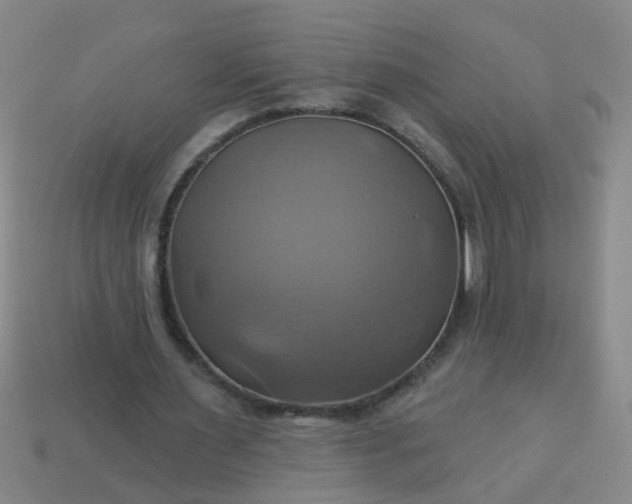 X0000114100483200910191645