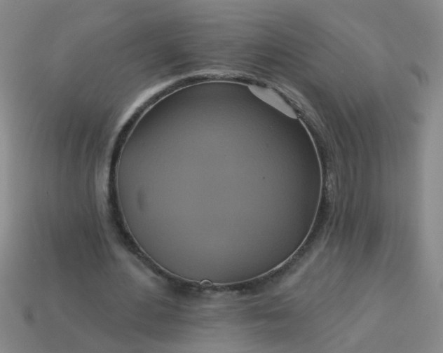 X0000114100484200910191645