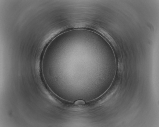 X0000114100485200910191645