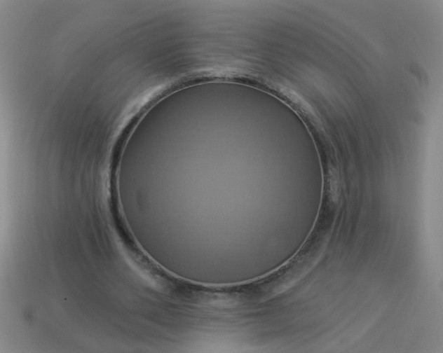 X0000114100486200910191645