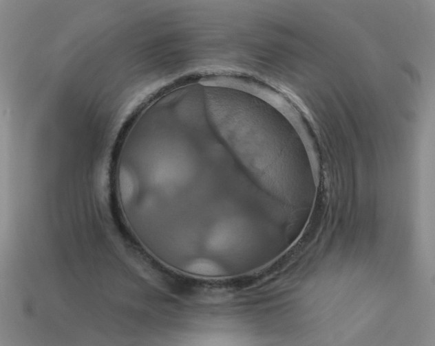 X0000114100487200910191645