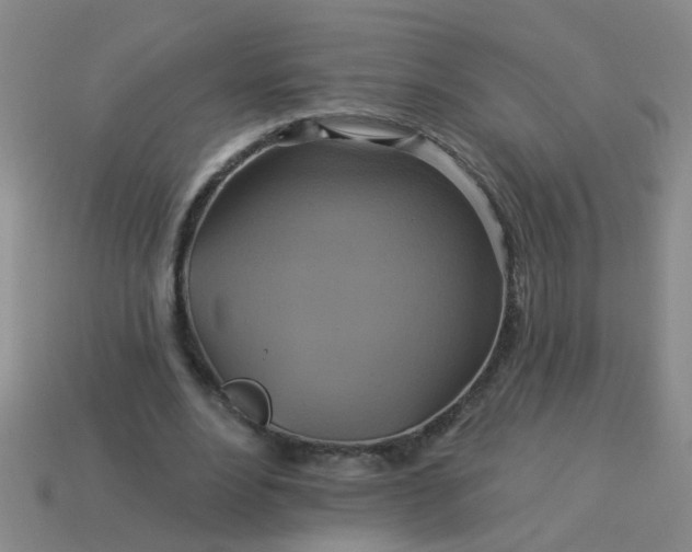 X0000114100488200910191645