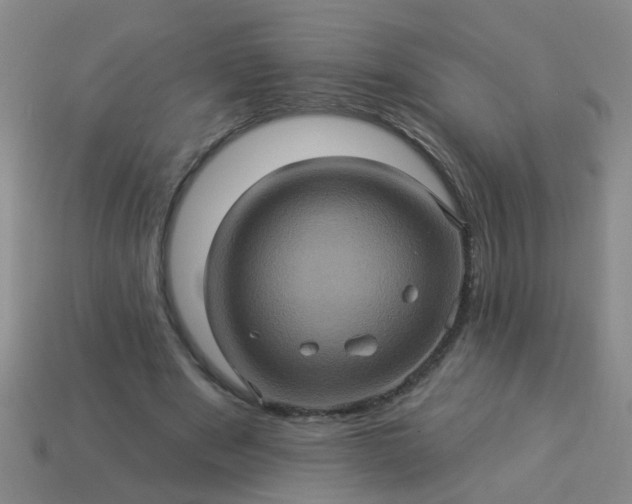 X0000114100489200910191645