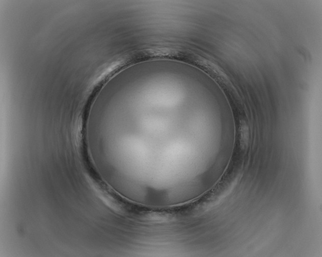 X0000114100490200910191645