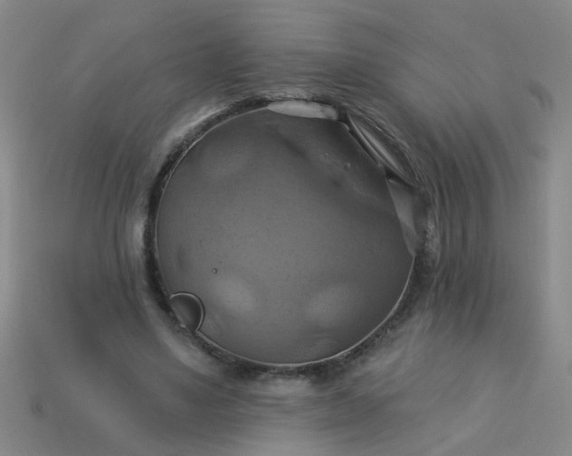 X0000114100491200910191645