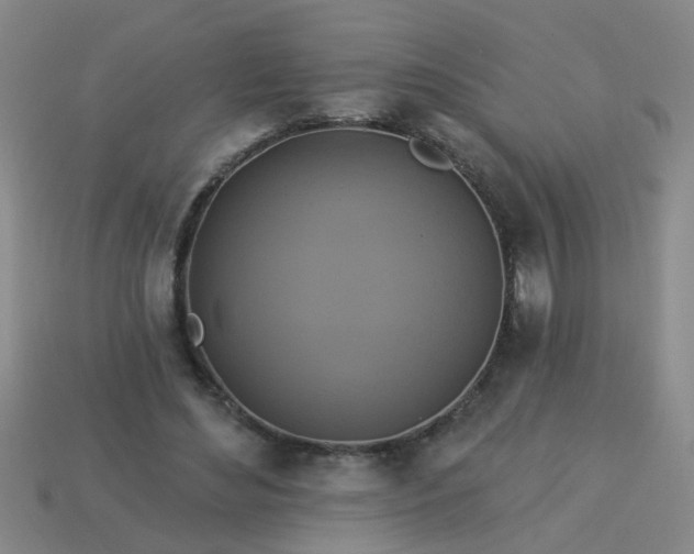 X0000114100492200910191645