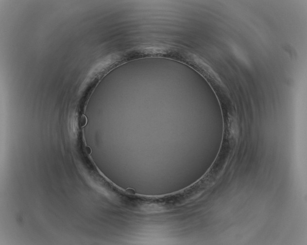 X0000114100494200910191645