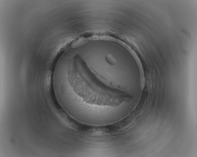 X0000114100495200910191645