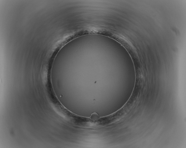 X0000114100496200910191645