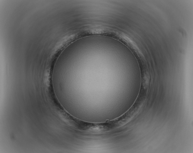 X0000114100497200910191645