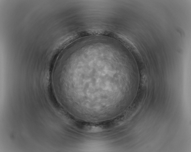 X0000114100498200910191645