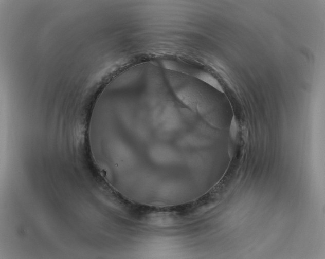 X0000114100499200910191645