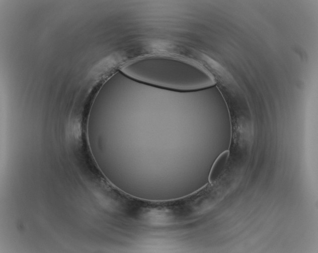 X0000114100500200910191645