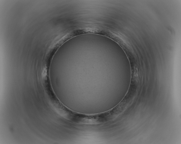 X0000114100502200910191645