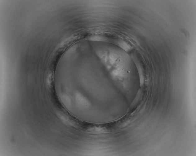 X0000114100503200910191645