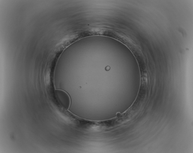 X0000114100504200910191645