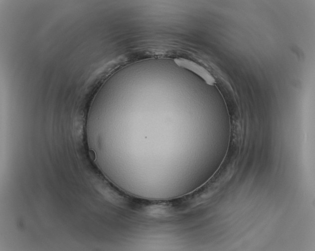 X0000114100505200910191645