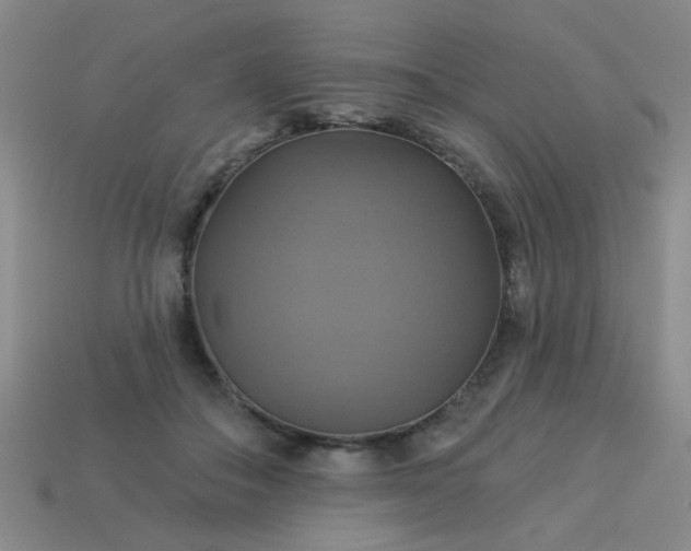 X0000114100506200910191645