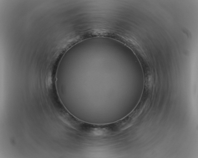 X0000114100508200910191645