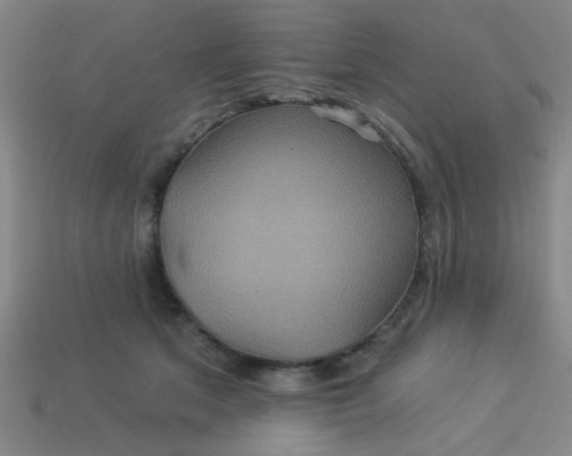 X0000114100513200910191645