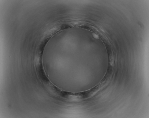 X0000114100515200910191645