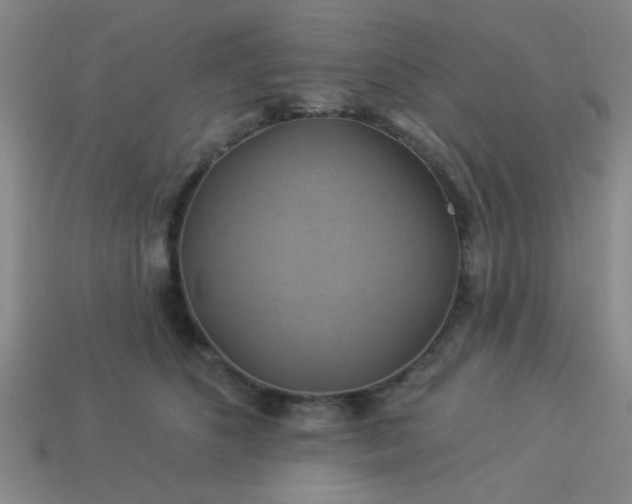 X0000114100516200910191645