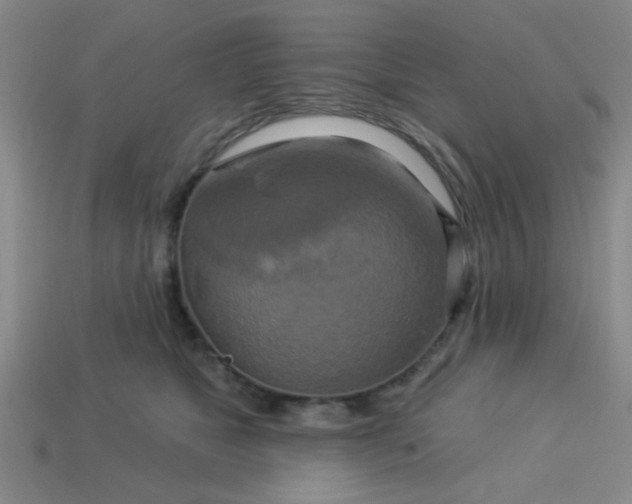 X0000114100517200910191645