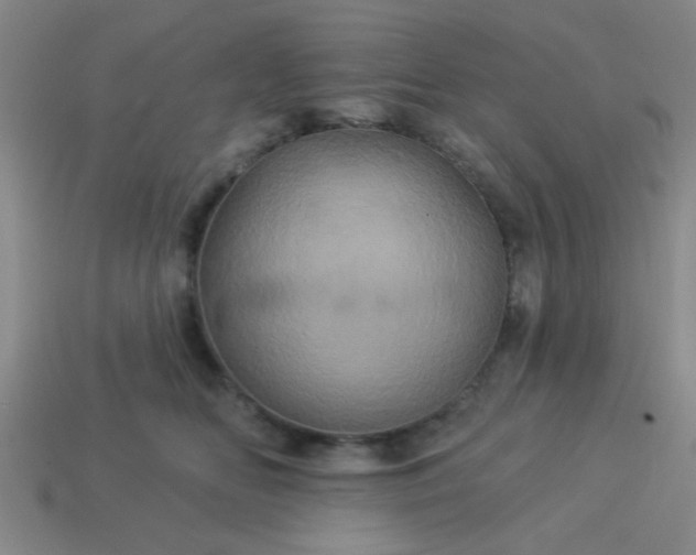 X0000114100518200910191645