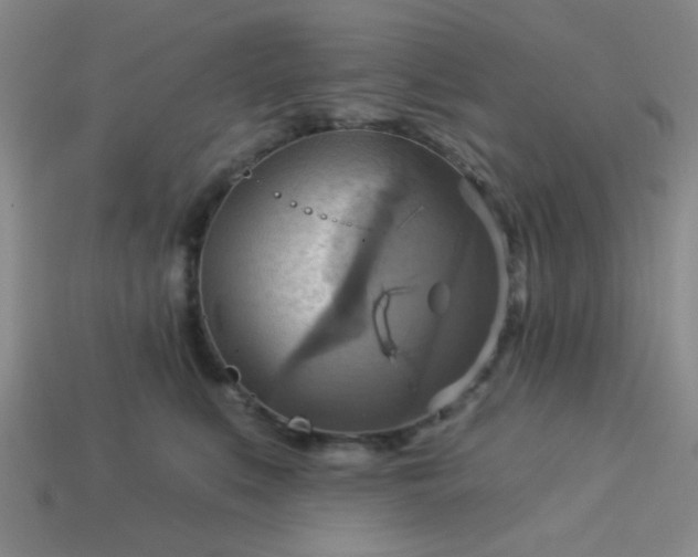 X0000114100519200910191645