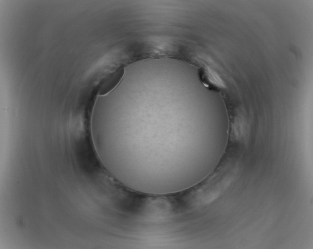 X0000114100520200910191645