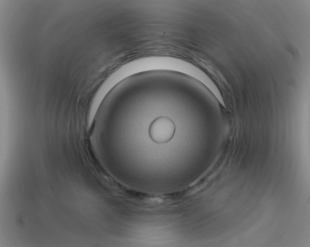 X0000114100521200910191645