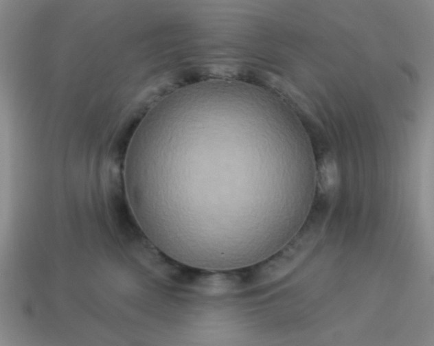 X0000114100522200910191645