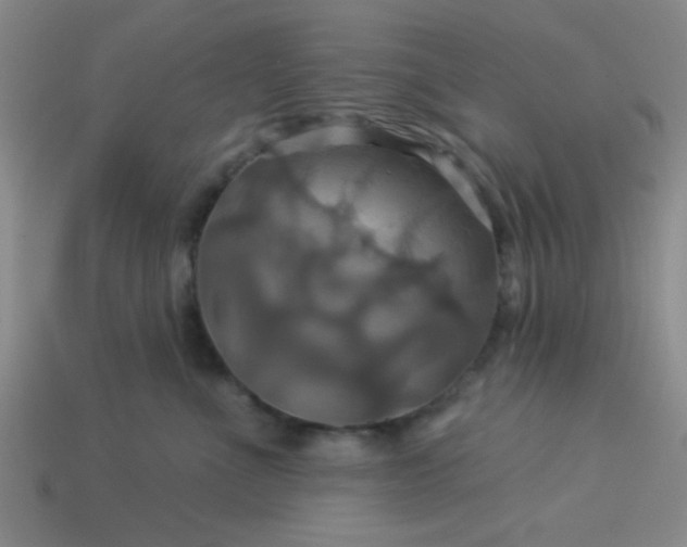 X0000114100523200910191645