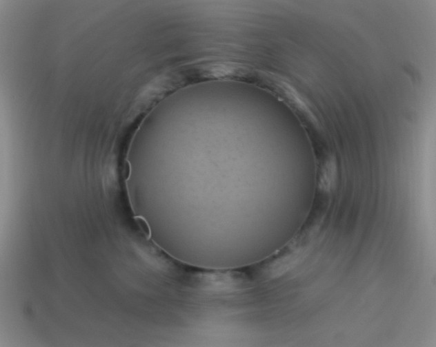 X0000114100524200910191645