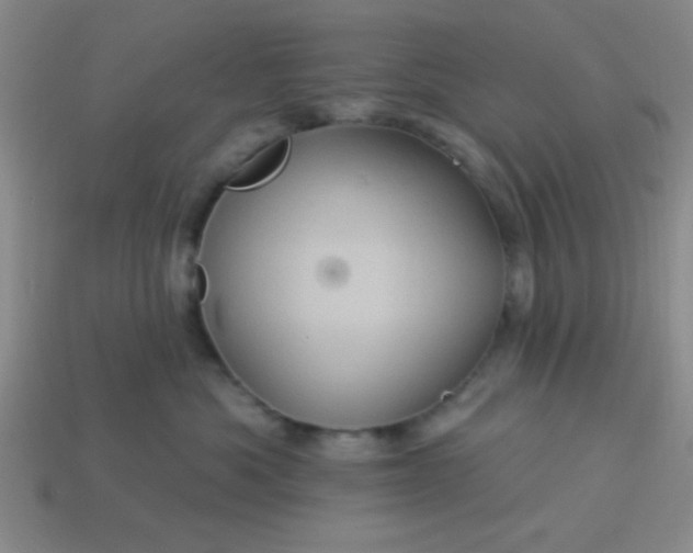 X0000114100525200910191645