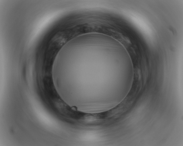 X0000114100526200910191644