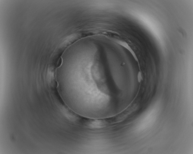 X0000114100527200910191644