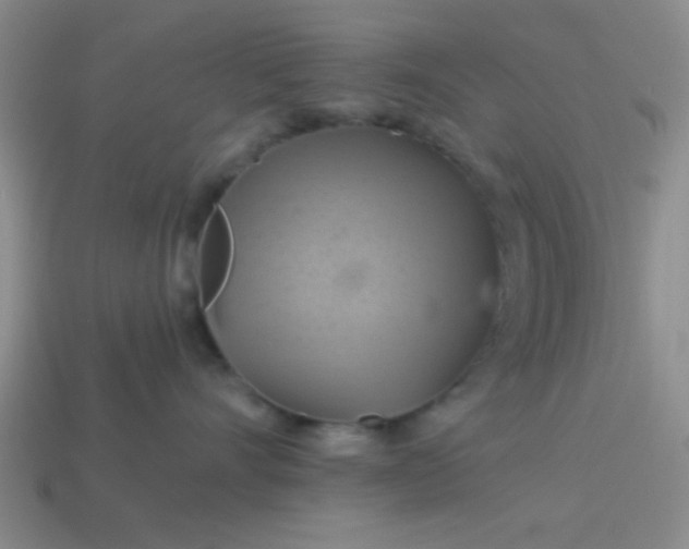 X0000114100528200910191644